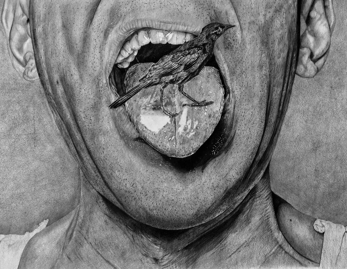Impressionistic Charcoal Drawing , Feathered Tongue By Emmanuel Akolo, 23 X 18, Artwork For Sale On Artfinder