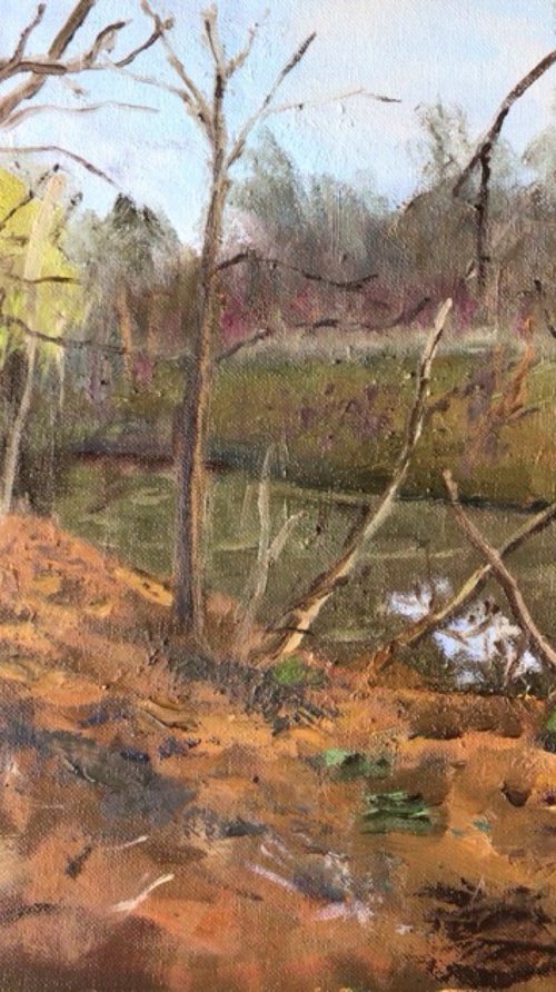 In the forest by Julian Lovegrove Art