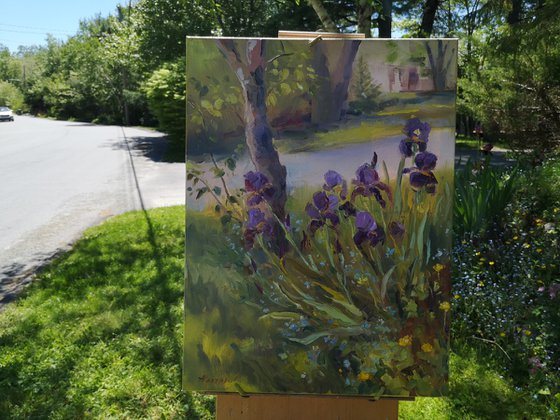 Irises (plein air), original, one of a kind, oil on canvas impressionistic style painting (18x24")
