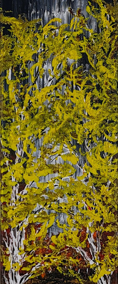 Two Birches 1 by Daniel Urbaník