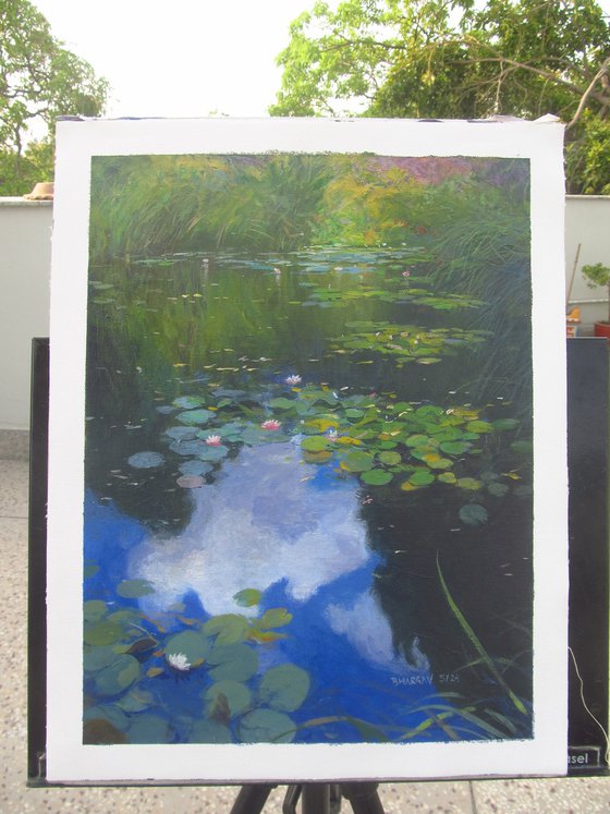 Lotus floating over the cloud