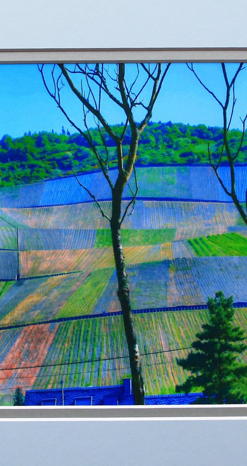 Vineyards Moselle Germany by Robin Clarke