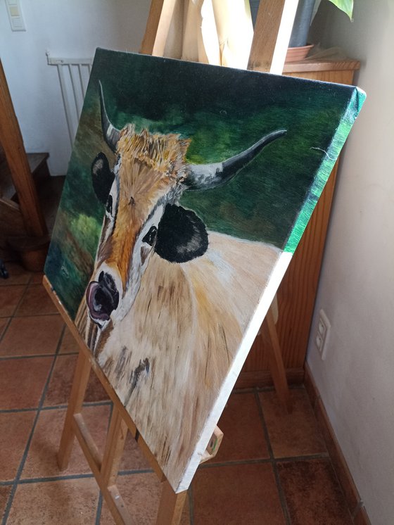 Cow