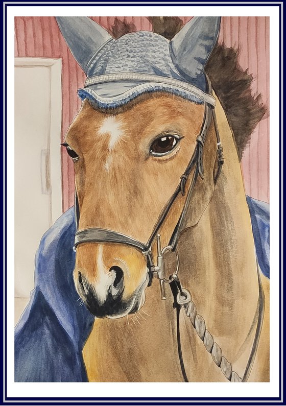 Comission horse portrait.