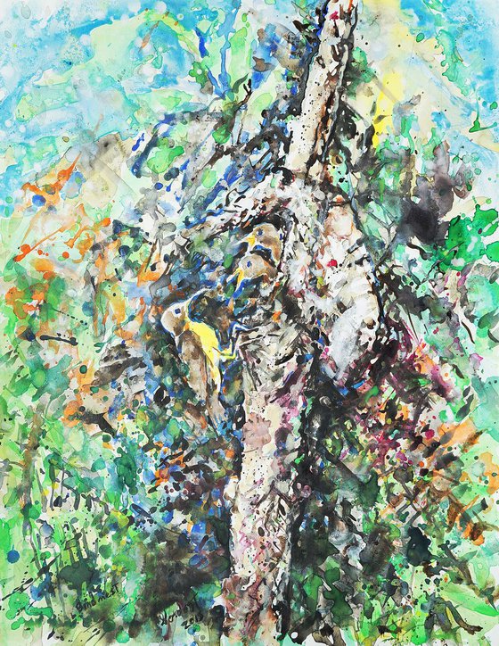 Birdnest