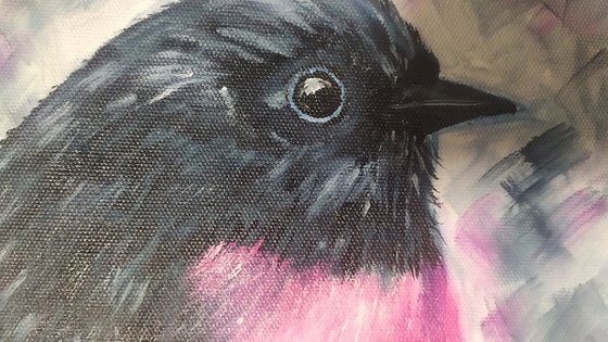 Pink Robin, original bird painting, small art, Gift, art for home