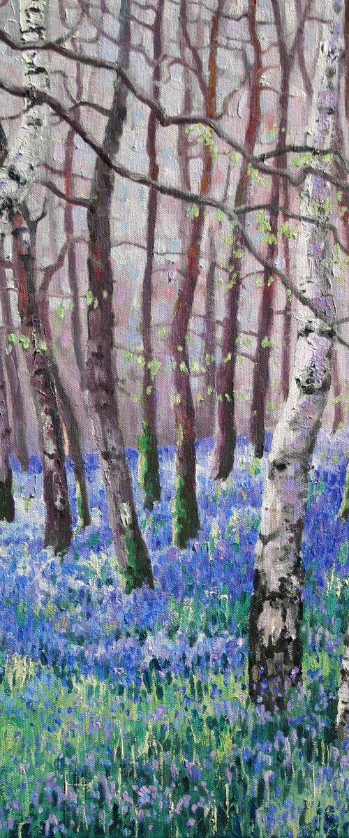 Bluebells and Birch Trees by Zoe Elizabeth Norman