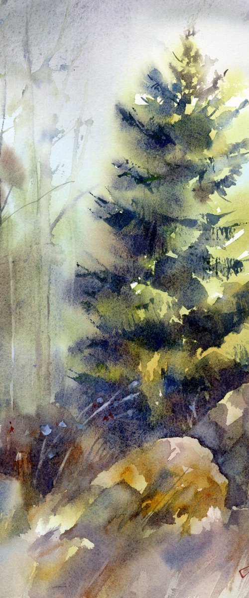 Lush spruce, Evergreen tree, Forest in watercolor by Yulia Evsyukova