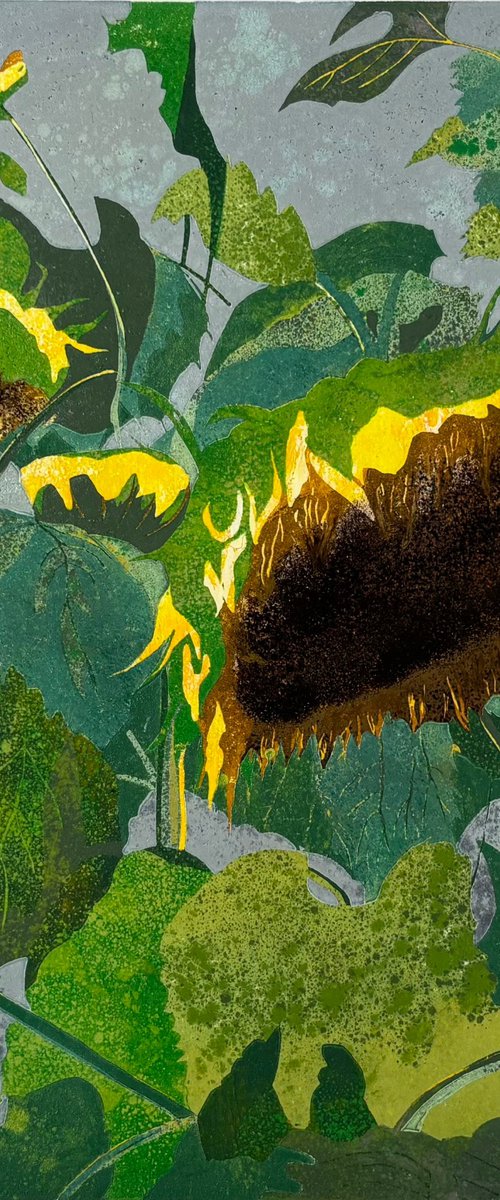Sunflowers in Abstract Linocut Print by C Staunton