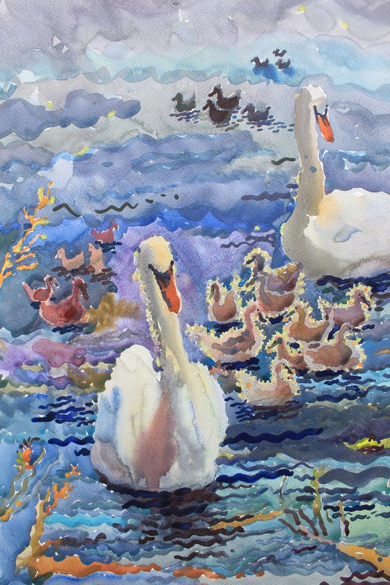 Swan family