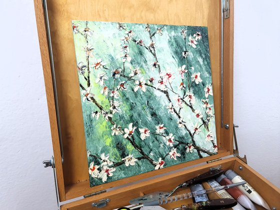 Cherries in bloom 1