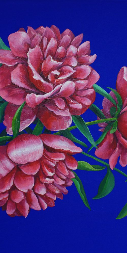 Peonies by Julia Gogol