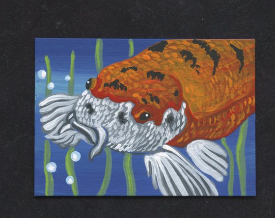 ACEO ATC Original Miniature Painting Koi Pond Goldfish Pet Art-Carla Smale