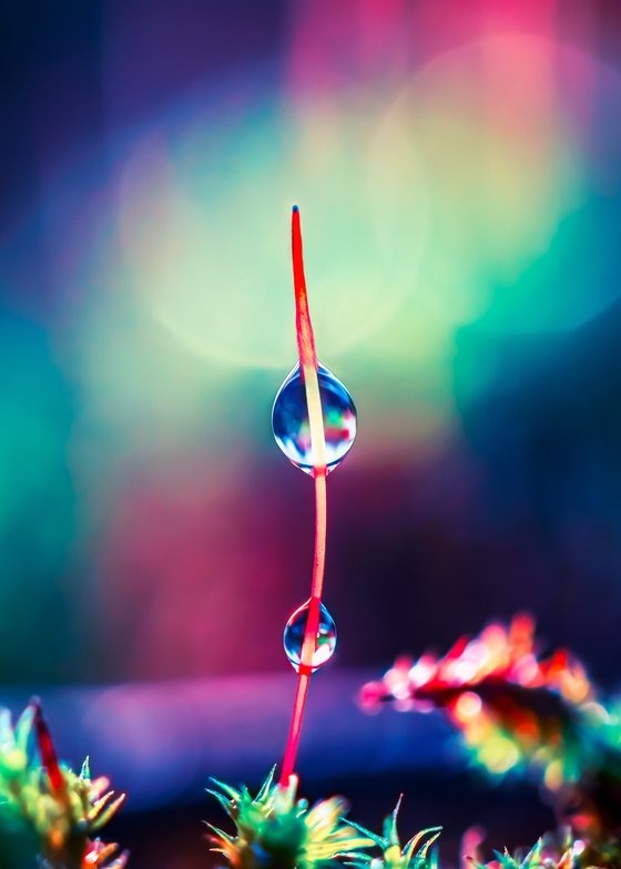 Be Bold - You are beautiful!