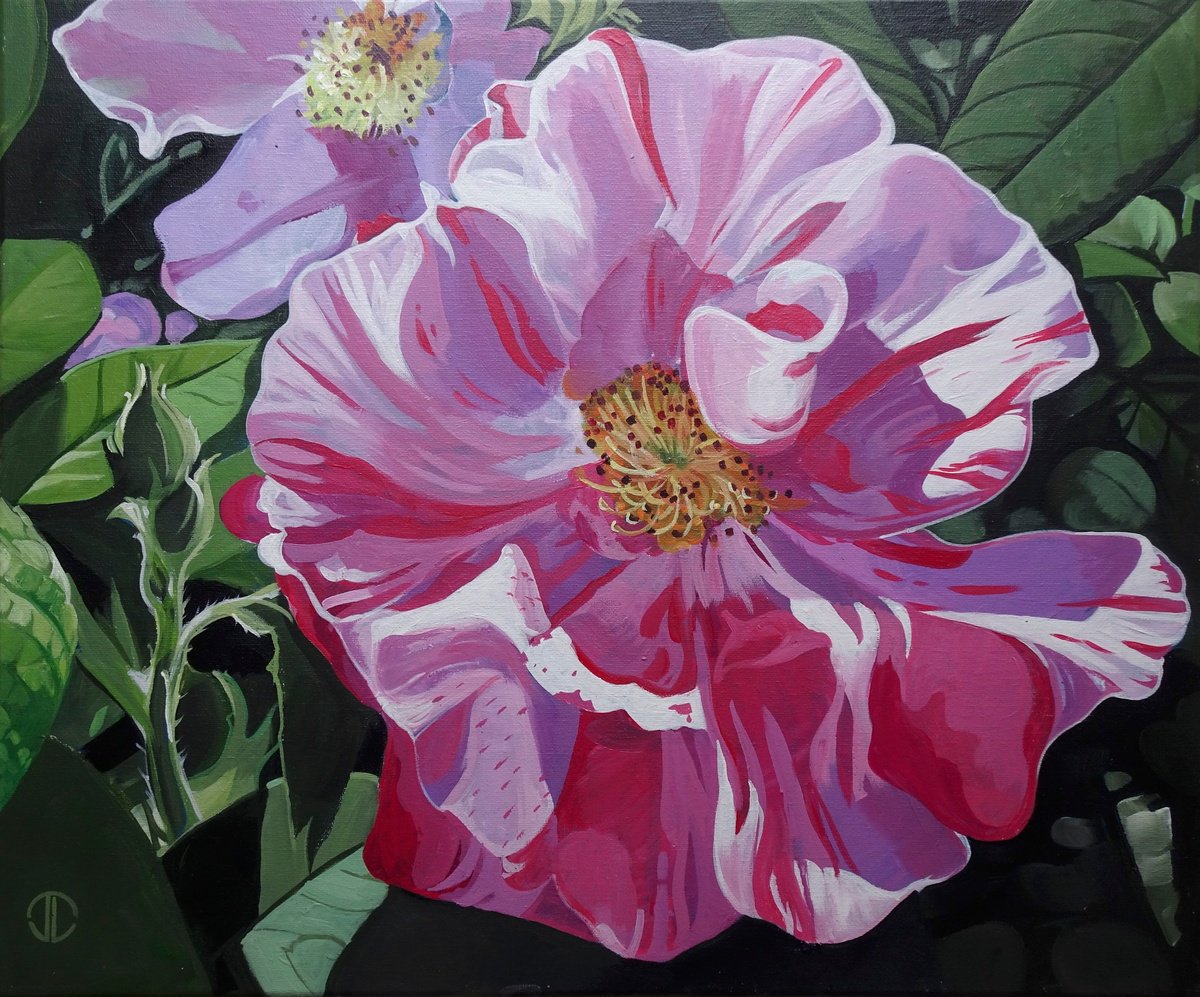Photorealistic Botanical Acrylic Painting By Joseph Lynch, 24 X 20, Summer Rose, Original Artwork