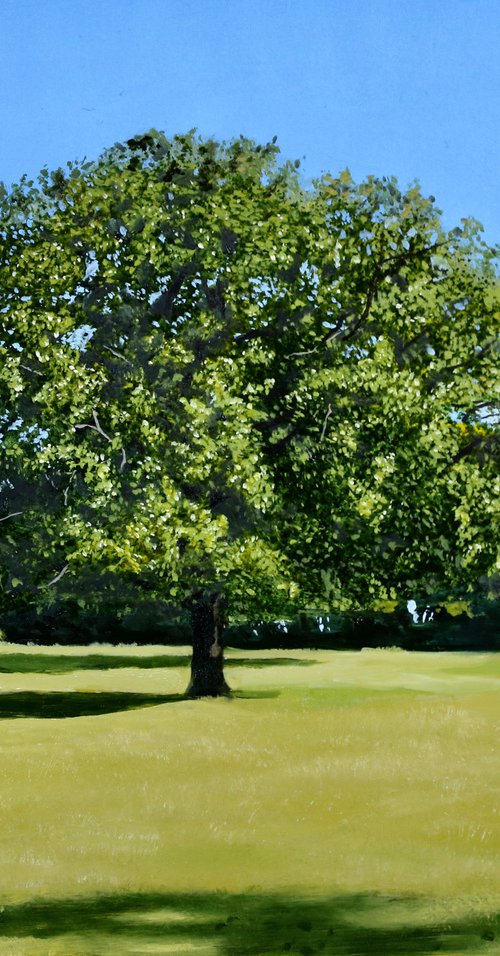 Summer Trees by Christopher Witchall