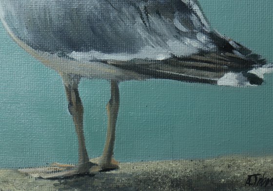 Voices of the Sea Series - Seagull Painting, Bird Art by Alex Jabore