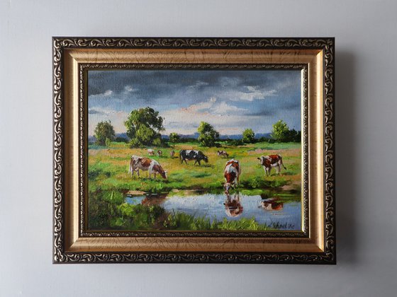 Grazing Cows
