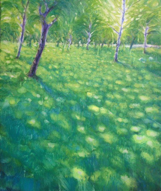 Light walking on the lawn V