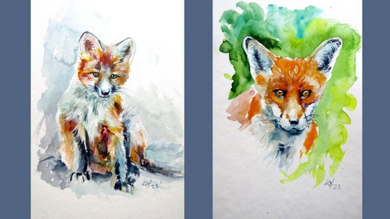 Red fox collection