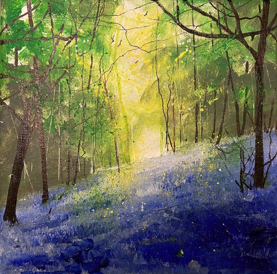 Spring day, Bluebell Wood