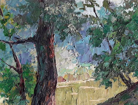 Shore in the forest