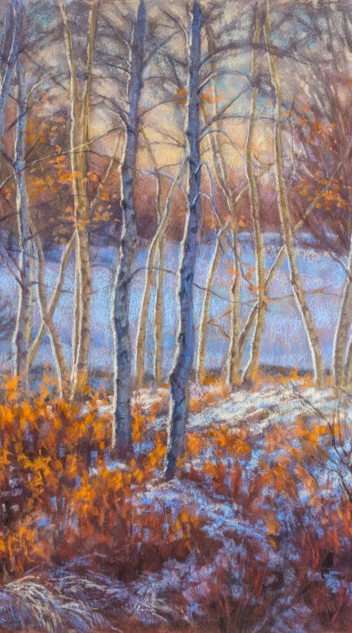 Birches in First Snow, 1 by Fiona Craig