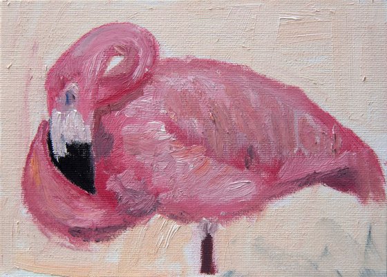 Flamingo Painting - Flamingos Sleeping 3 - Bird painting - Flamingo Wall Art