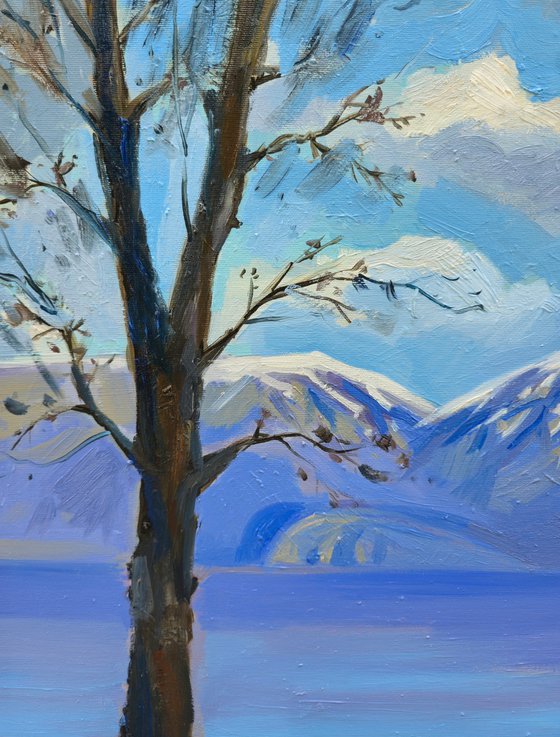 Winter day by the lake