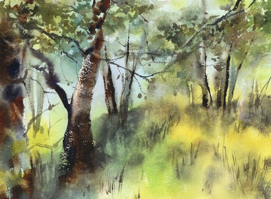 Summer Forest
