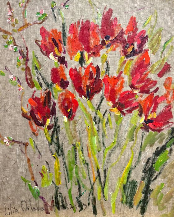 Red tulips