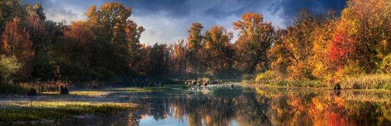 Panorama of autumn.