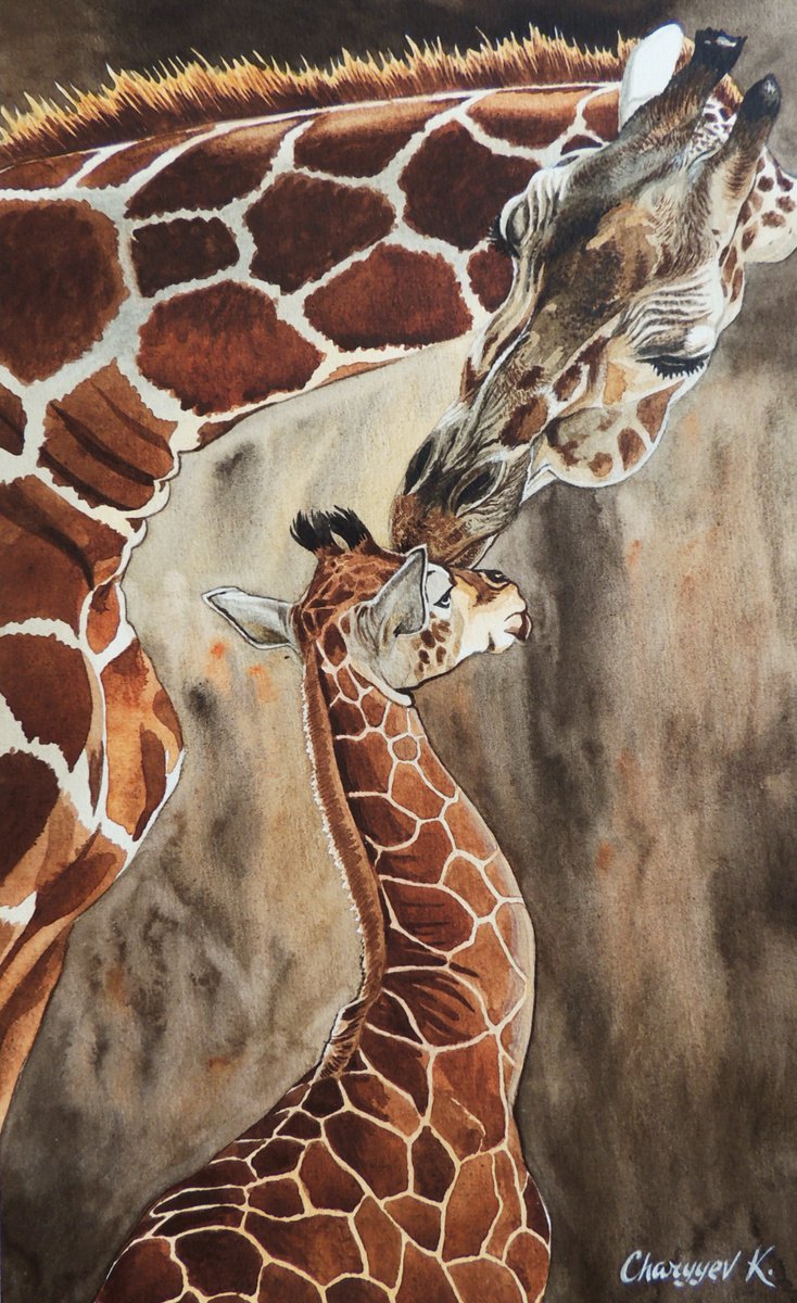 Giraffes by Kakajan Charyyev