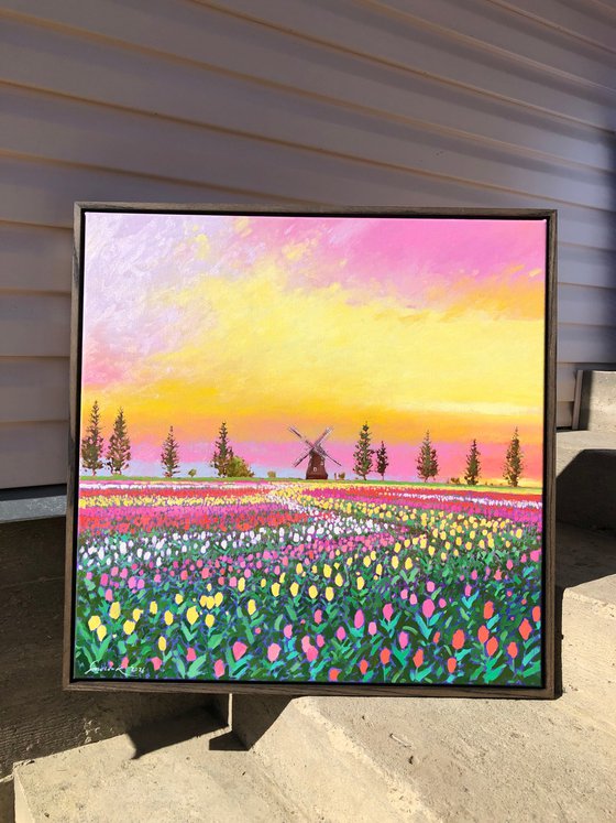 Sunset over tulips field