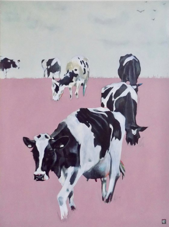 Cattle painting called 'Out to Pink Pasture'
