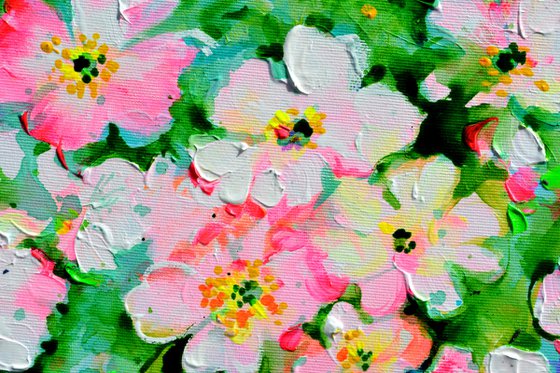 Wild White and Pink Roses