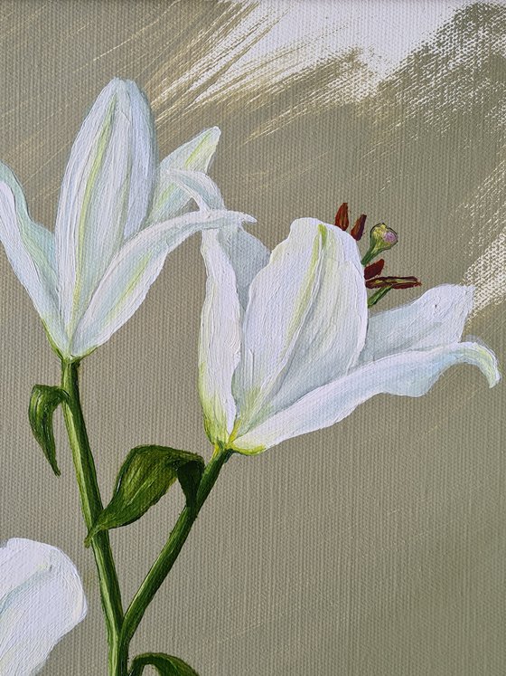 Oriental Lily Study 3