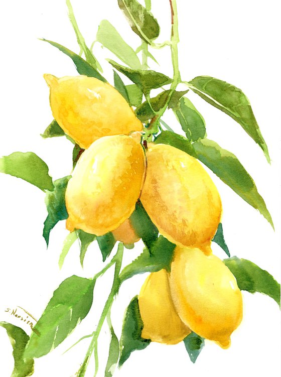 Lemons on the Tree