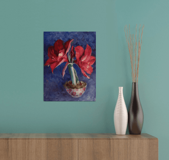 "Amaryllis"