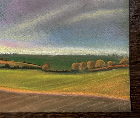 Evening Light Over Fields and Trees. Sunset - Landscape