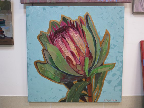 The protea of my dreams Painting