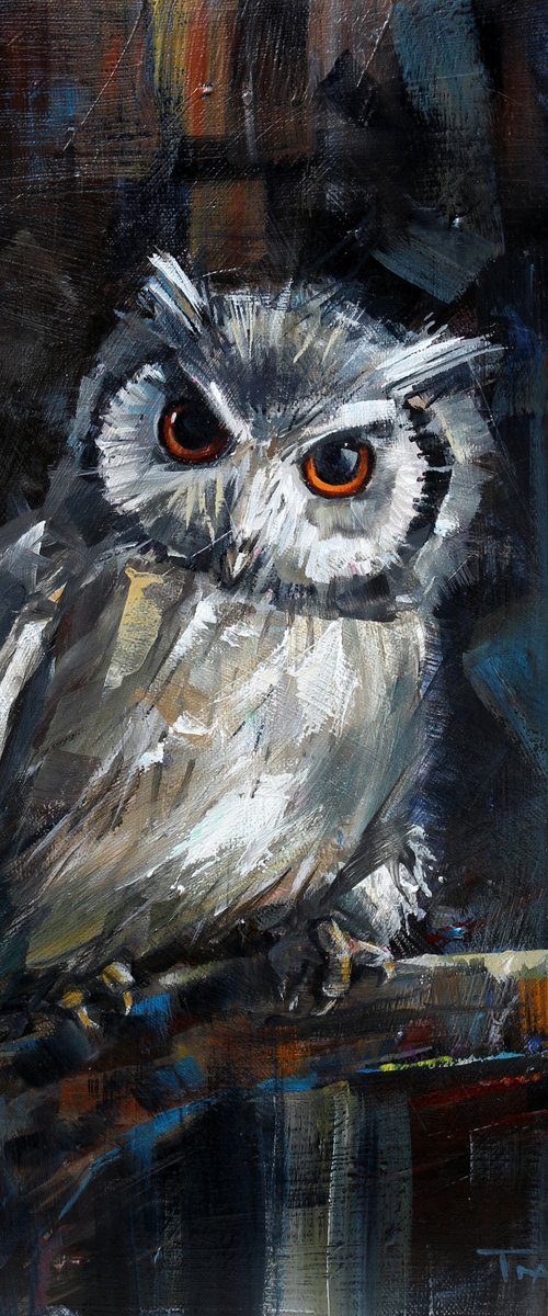 Owl | Wildlife | Forest by Trayko Popov