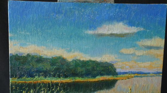 Near The Water - original sunny landscape, painting