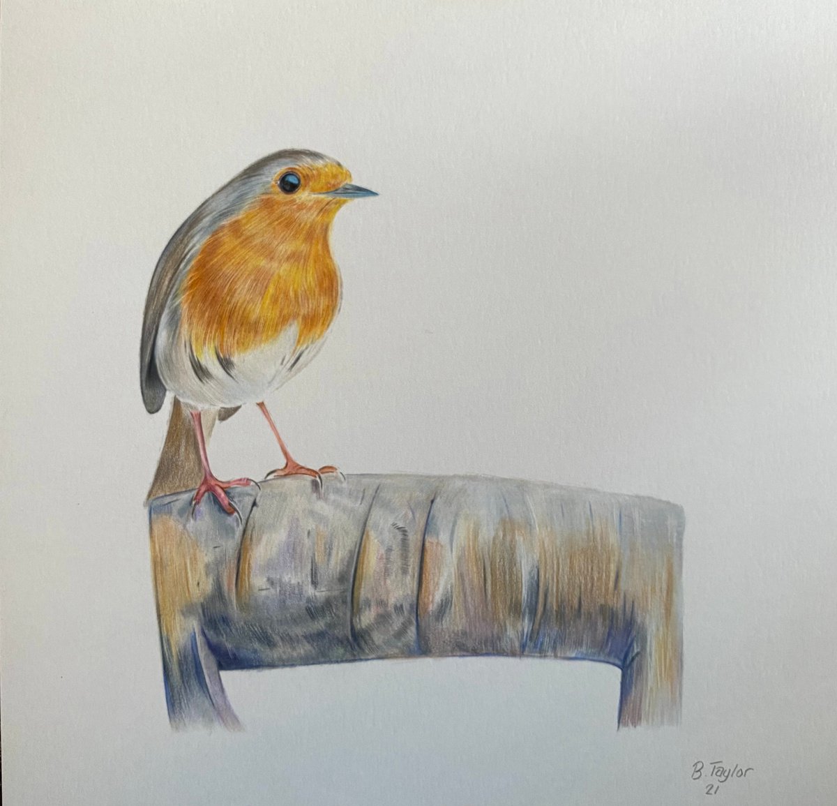 Robin in the garden by Bethany Taylor