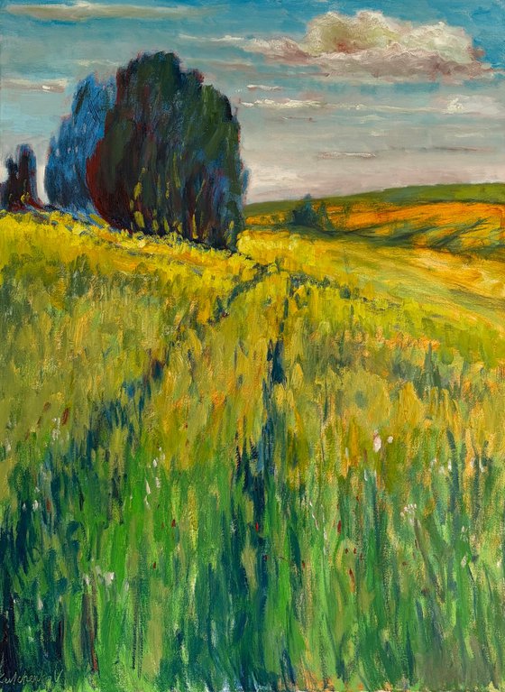 Over the field