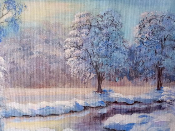 Winter dawn in the forest