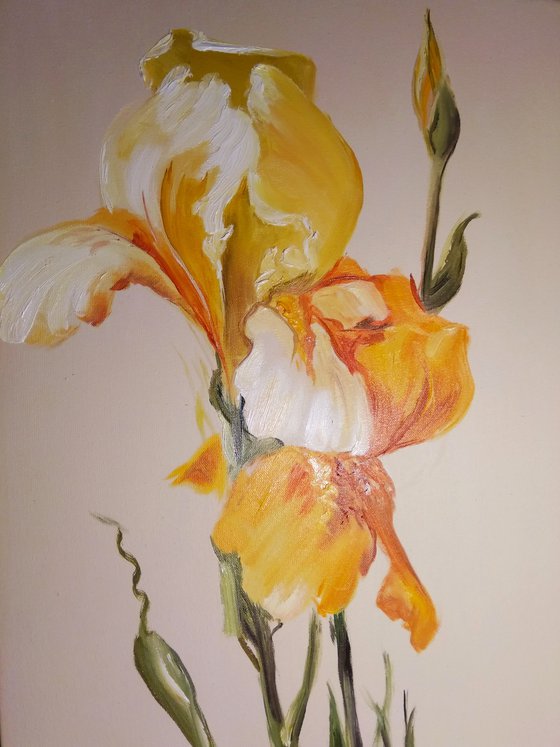 Yellow Irises