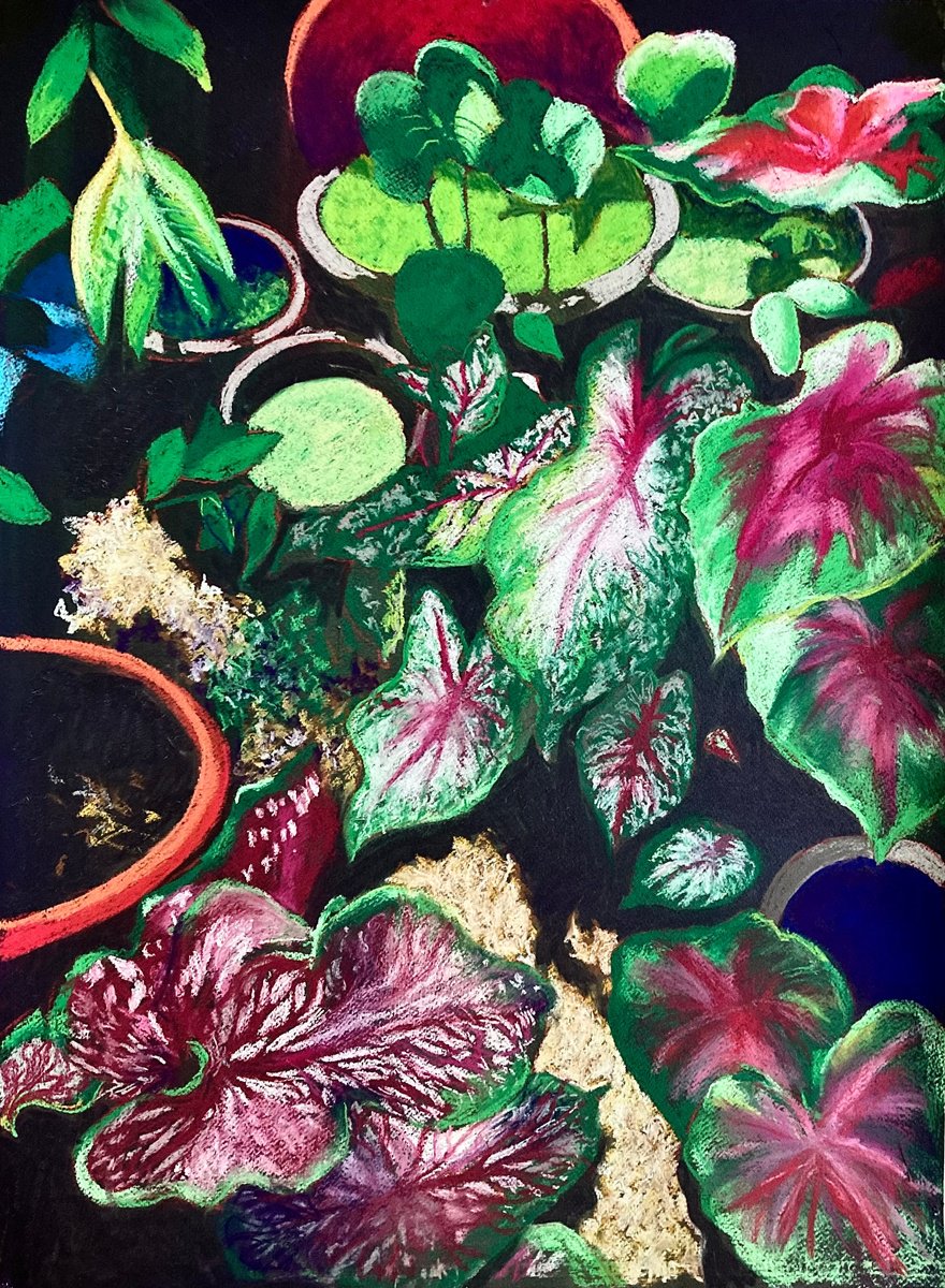 Impressionistic Botanical Pastel Drawing By John Cottee, 22 X 30, Red & Green Garden, Original Artwork