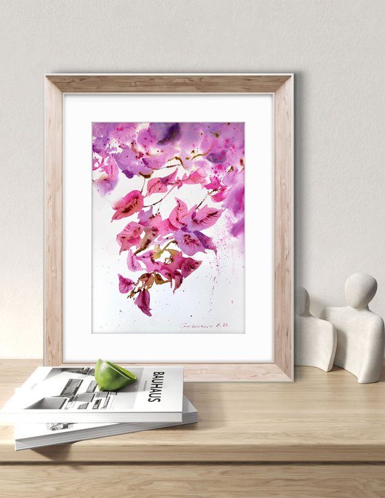 Bougainvillea Dream