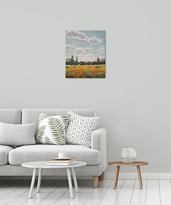 Poppy field